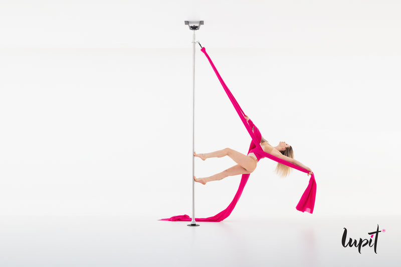 Permanent Champion Pole - Ceiling & Floor mount