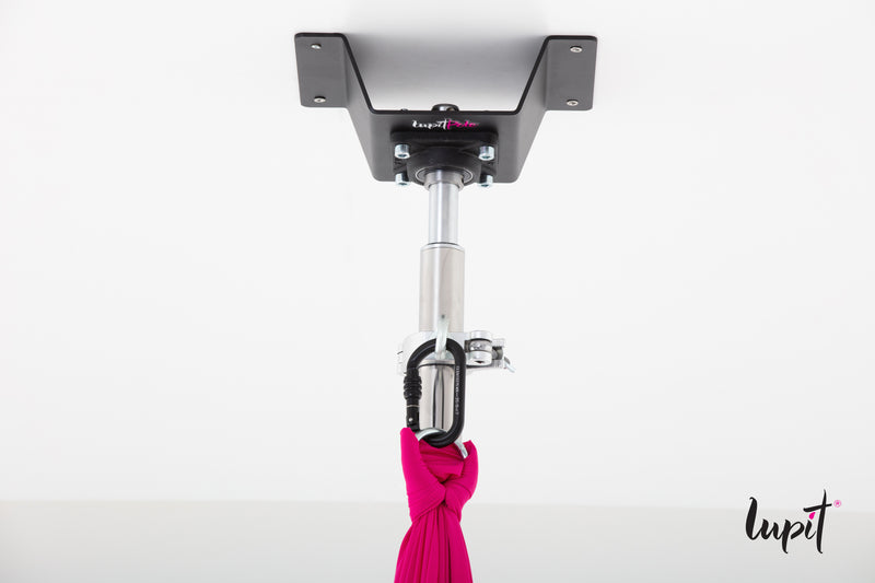 Permanent Champion Pole - Ceiling & Floor mount